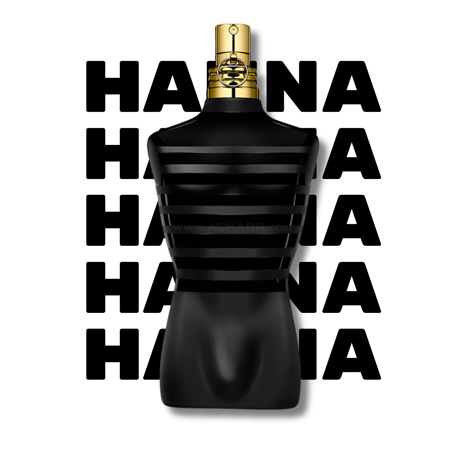 JPG LE MALE LE PARFUM